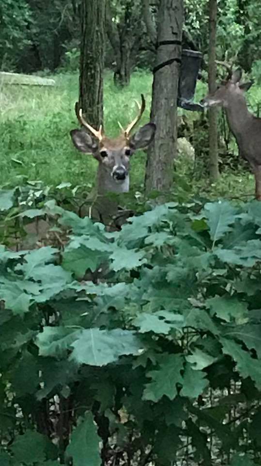 Andover Spectacle Lake Neighbors Conservation Effort